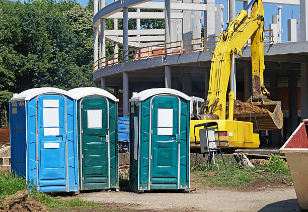 Best Portable Toilets for Parks and Recreation Areas  in Dillingham, AK